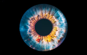 A very close-up photo of the iris of a human eye.