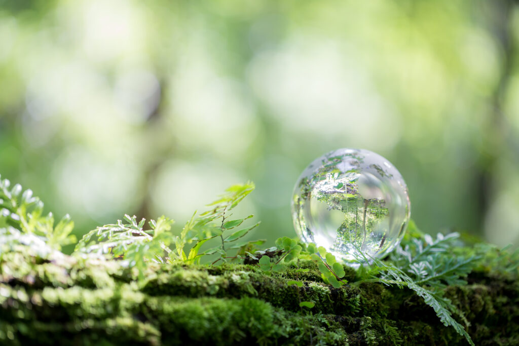 A glass globe In green forest.